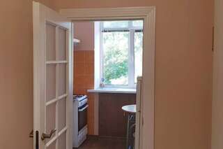 Апартаменты Kyiv TOP LOCATION Cozy apt in old city fast WIFI selfchekin Киев Апартаменты с 1 спальней-50